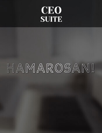 CEO Suite - Bogathy Mansion